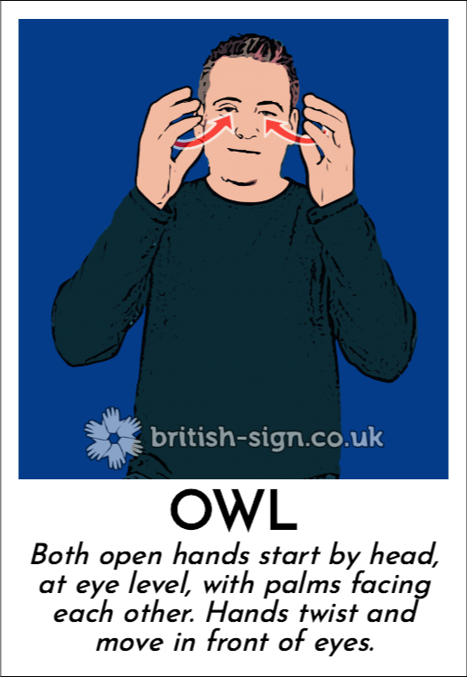 Owl: Both open hands start by head, at eye level, with palms facing each other.  Hands twist and move in front of eyes.